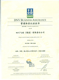 ISO9001：2008管理體系認證證書【四川飛球（集團）有限責(zé)任公司】1